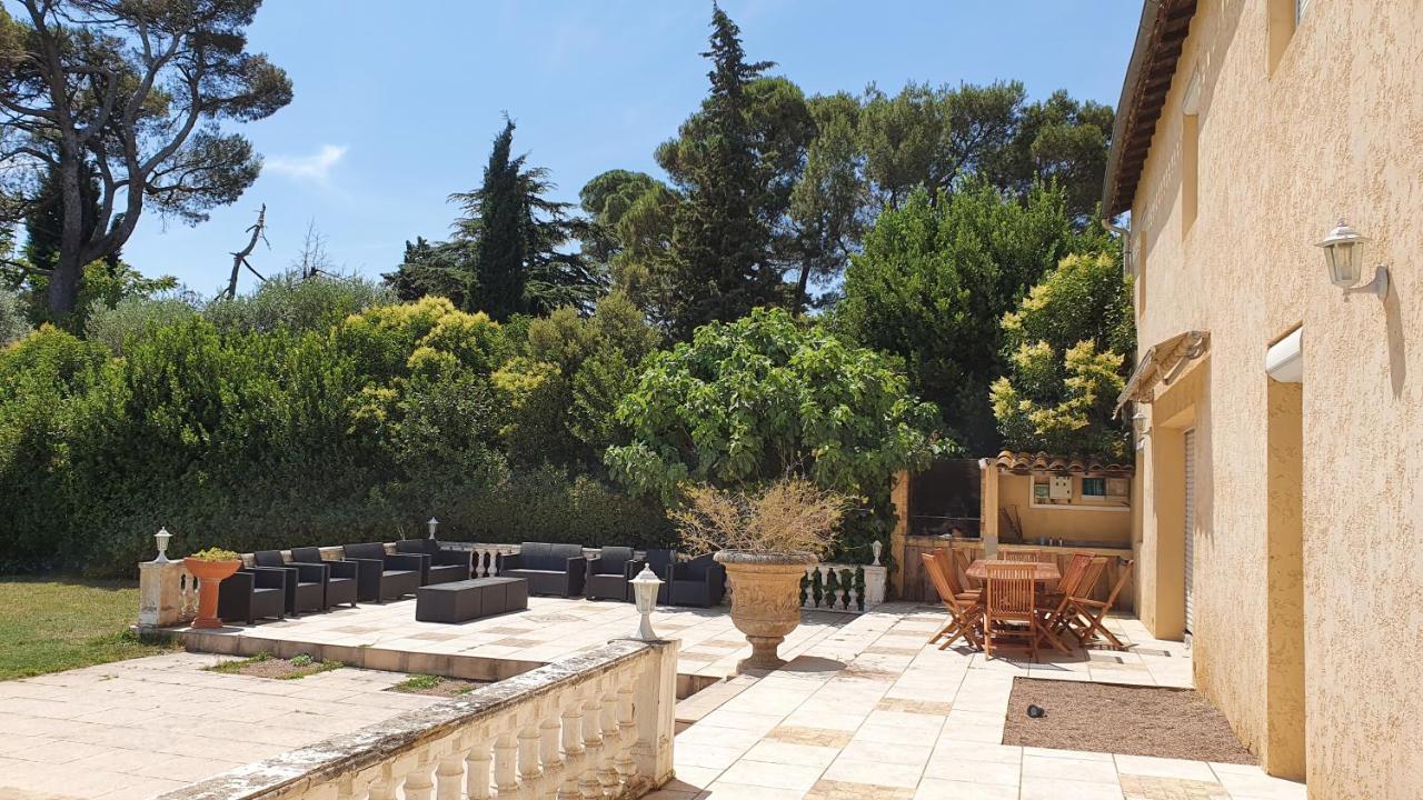 Domaine D'Herminis - Gite De Dame Carcas การ์กาซอน ภายนอก รูปภาพ